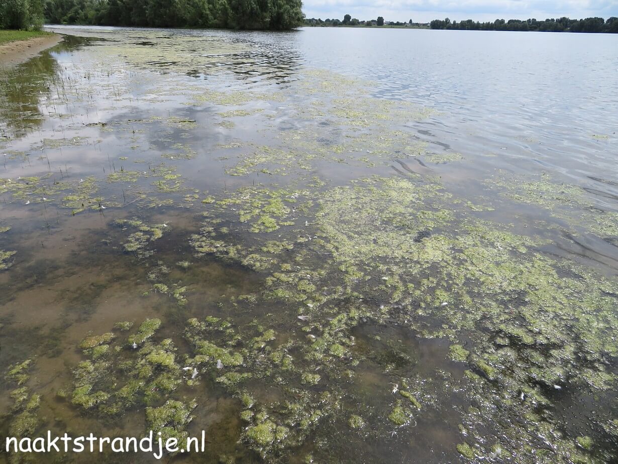 Naaktstrandje
