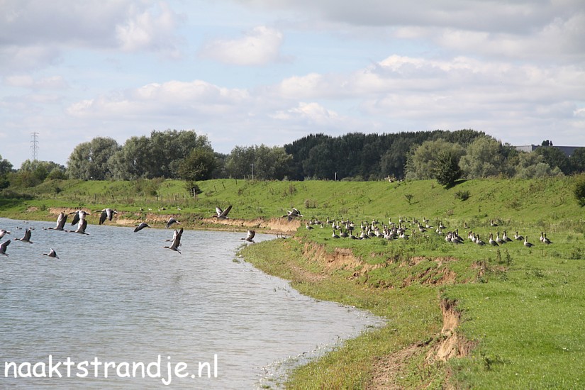 Naaktstrandje