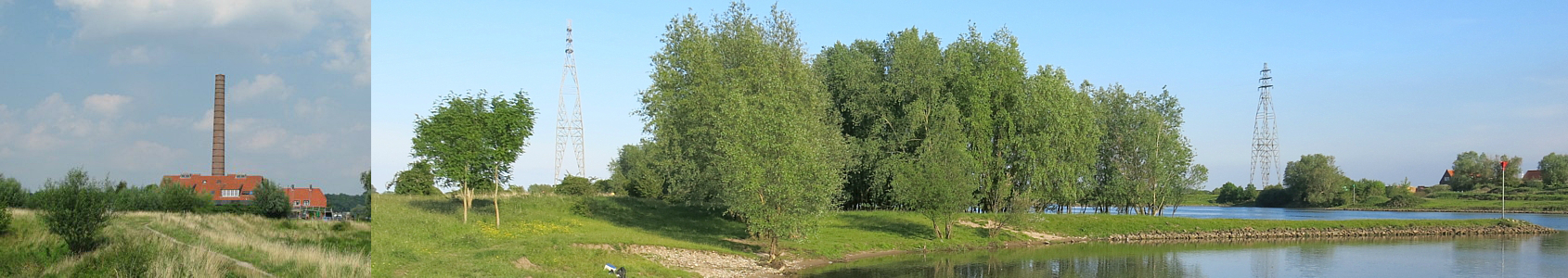 Wageningse uiterwaarden