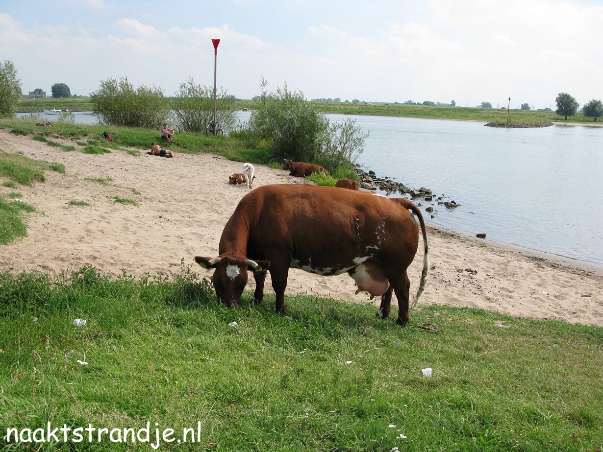 Naaktstrandje