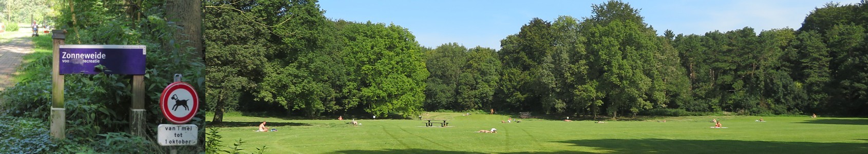 Amsterdamse Bos