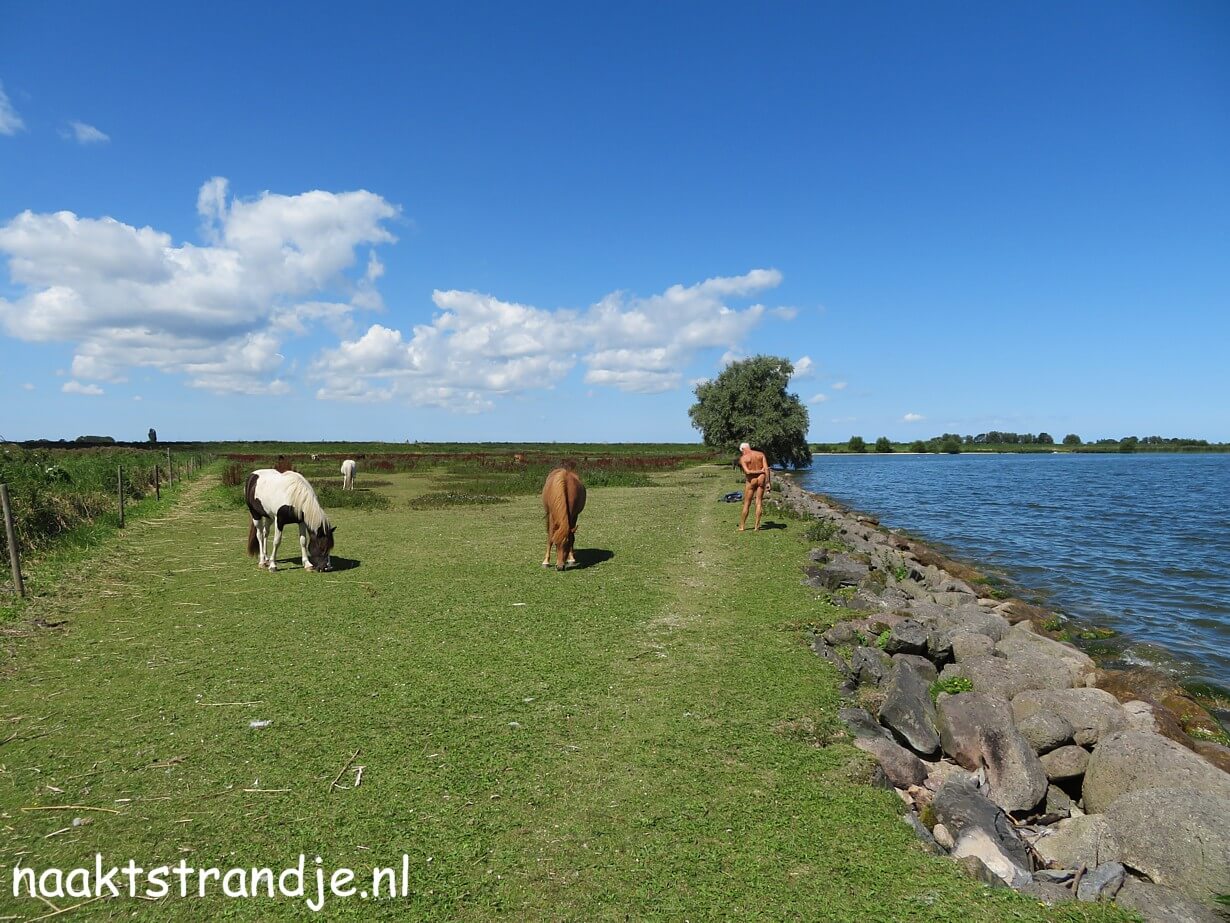 Naaktstrandje