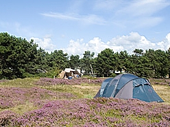 Loodsmansduin (Texel)