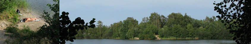 Pannekoekenplas
